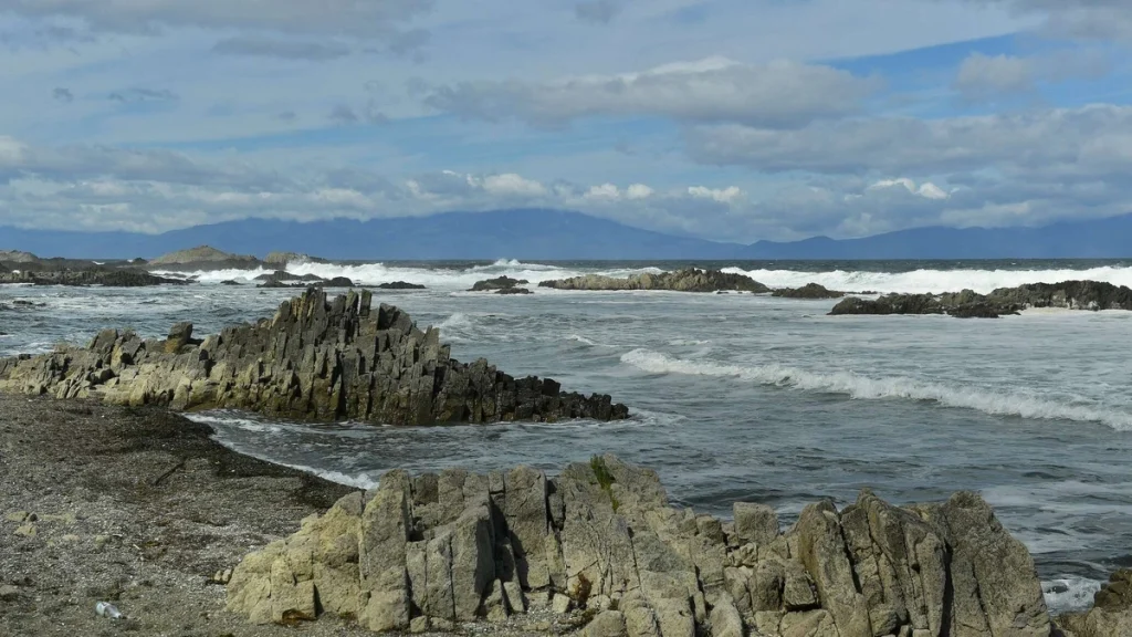 0X3JMhsRad4w5AwSKrCyFpyYLG0G7aUOf2M5u61A_1200