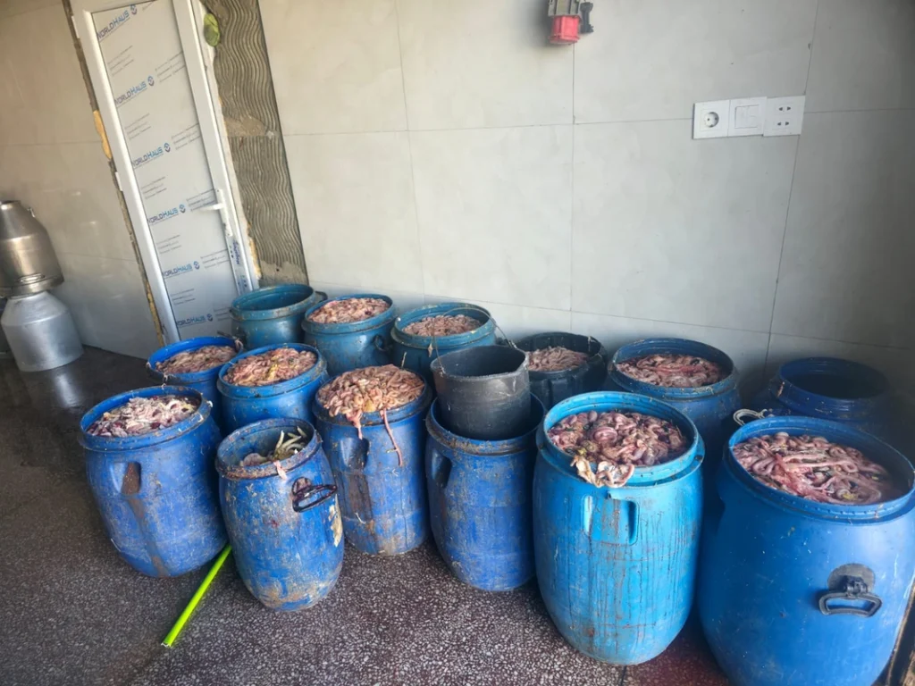 JBomAS7i8uL9jGE3HsJBtorB8HA7w6YtF5zg3dsL_1200