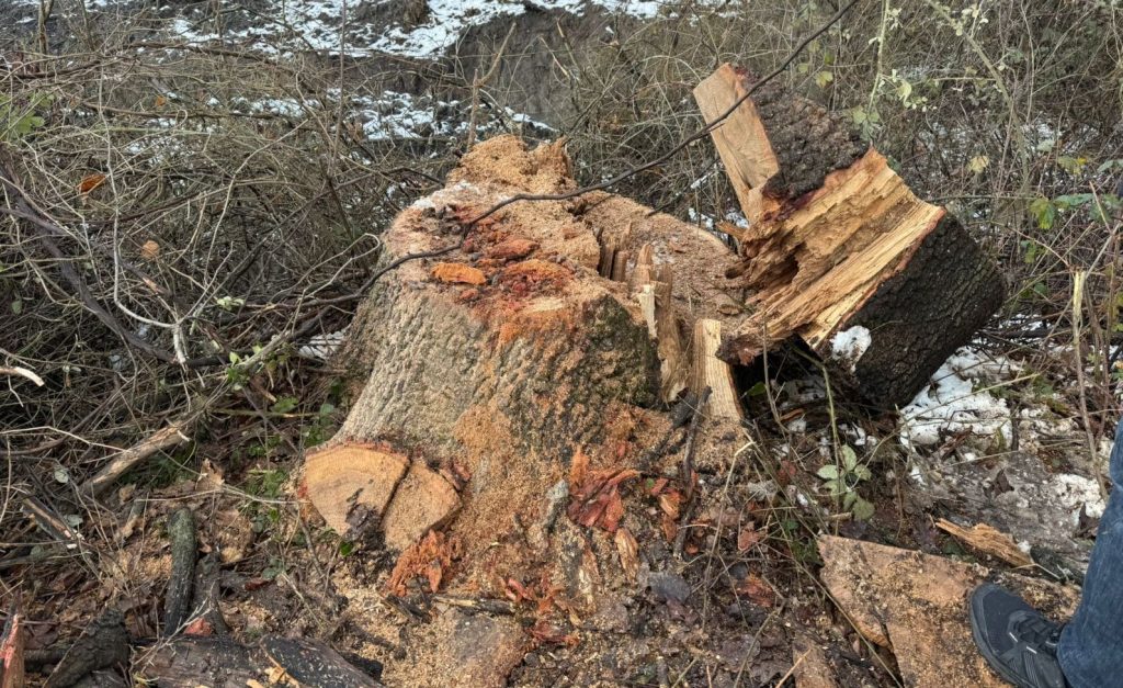 WhatsApp Image 2026-01-15 at 19.31.38