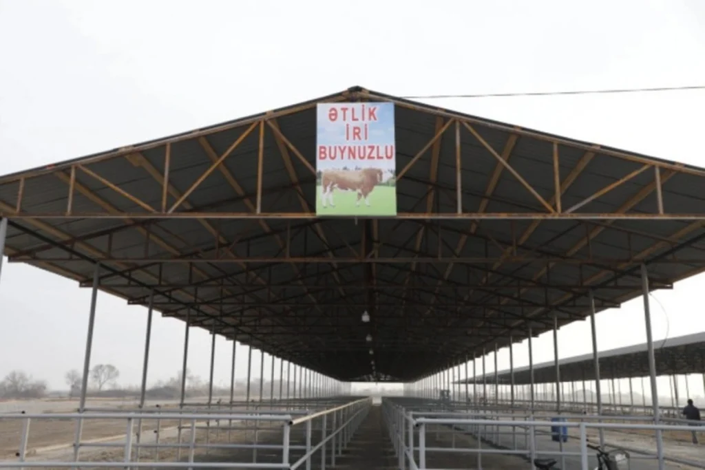 jZpsnSNKqGnNuGN9VWcd4om9dSRxraAOnDPc16O0_1200