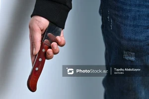 GyQPRvGWNPdHRZGqkXCkhllbI89tfp0HppNlCXp7-1200