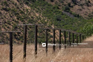 TuZ8FIzQoeVYArsRo8jjA9wvM8f7PrO92EwZ4Ktd-1200