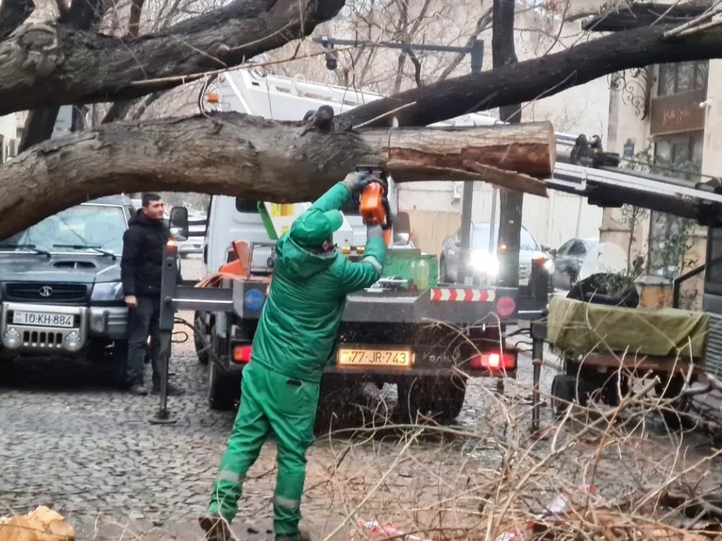 l63Gco5RgB9LWgazyaRkiwCtmFucJ5yOq7ECvbzW_1200