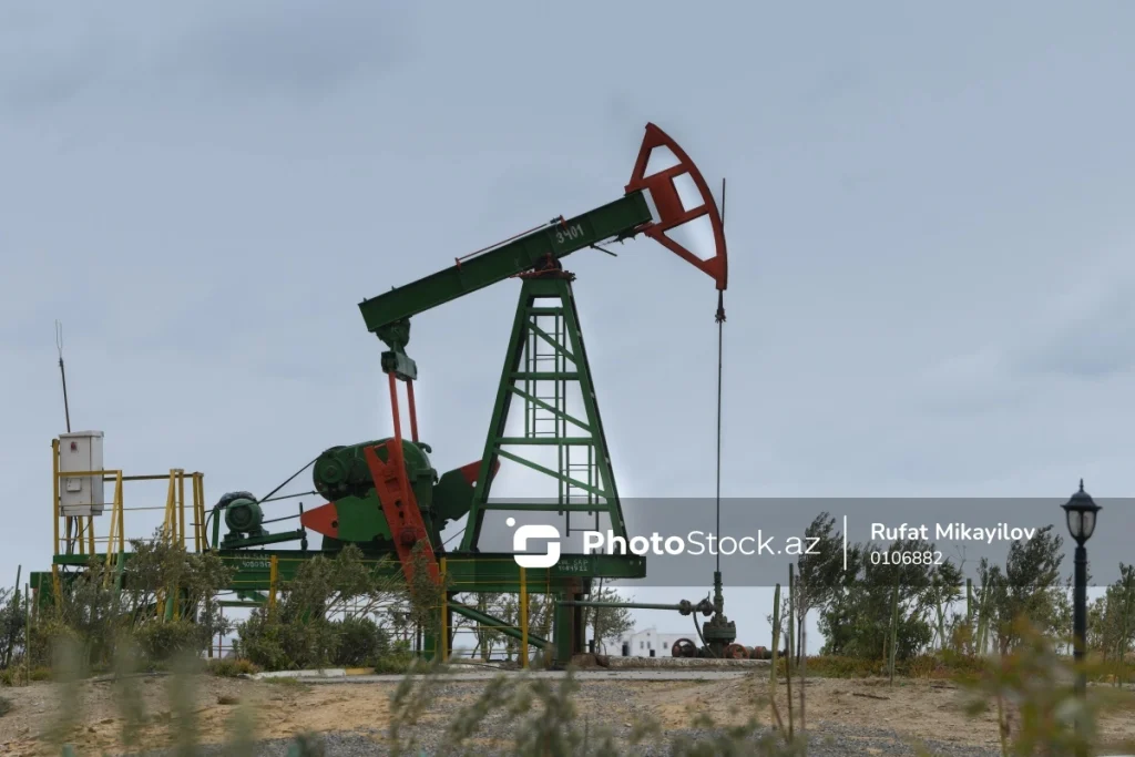 3KevepQBesmpzg0NXWEALidCp6VbS6fKqpuZAskz_1200