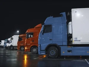 I8Lm7s1tlWkw4BE8u19UJvptqX8UbpipLsqFEcAu_1200