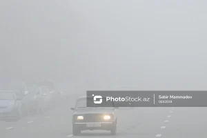 QlhYn0KdC2JxZ4QCLAFyx0UDkdgrwHcxwRVwOenX_1200