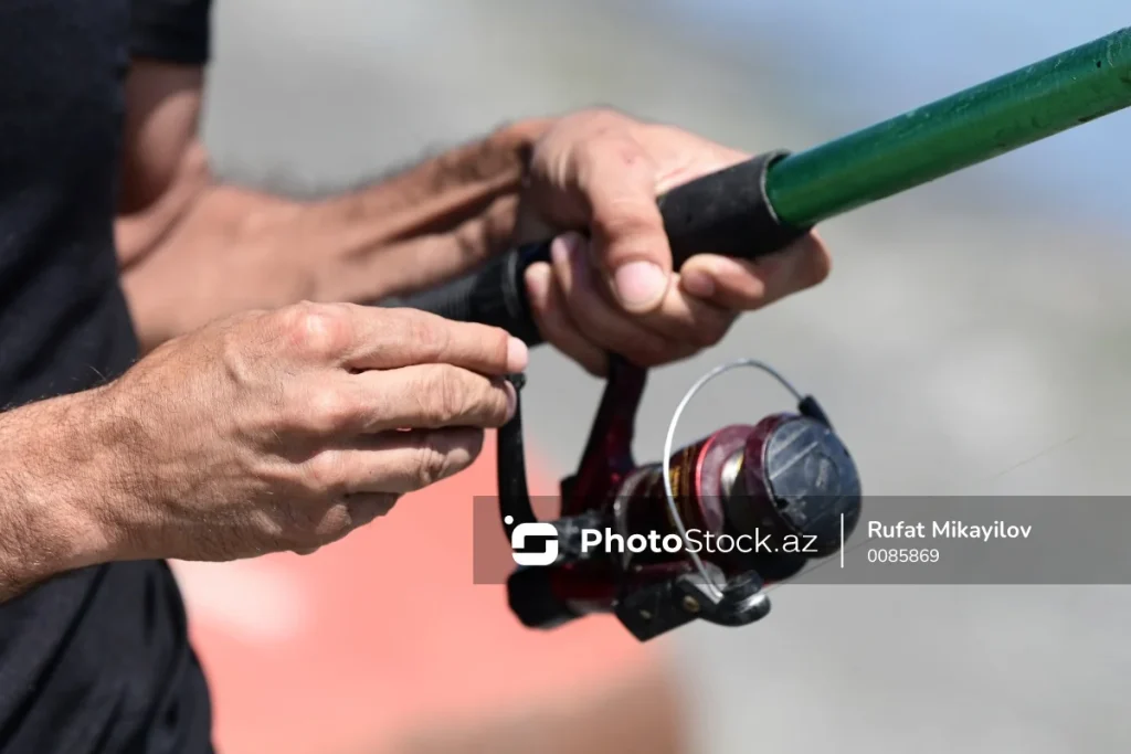 SSICSFeQrdMo2JnSpaRtn2DtGxzQs9mAjNXV674h_1200