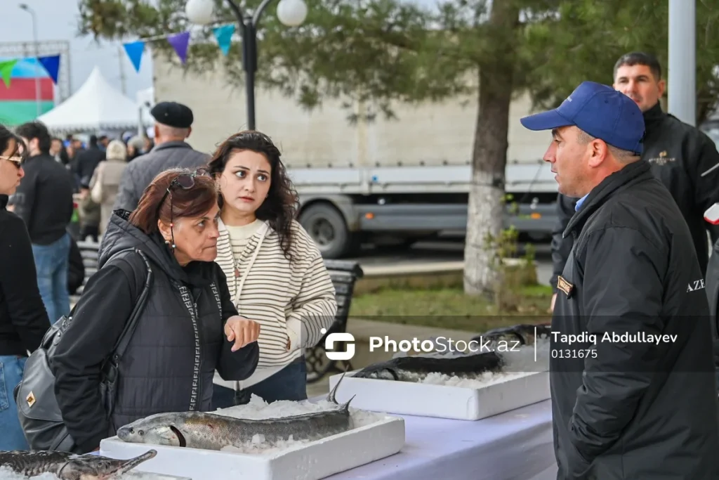 cN5s0rv3r4BqKAikLikpJmJq4TT20UCcWZ7HWQBa_1200