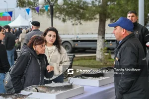 cN5s0rv3r4BqKAikLikpJmJq4TT20UCcWZ7HWQBa_1200