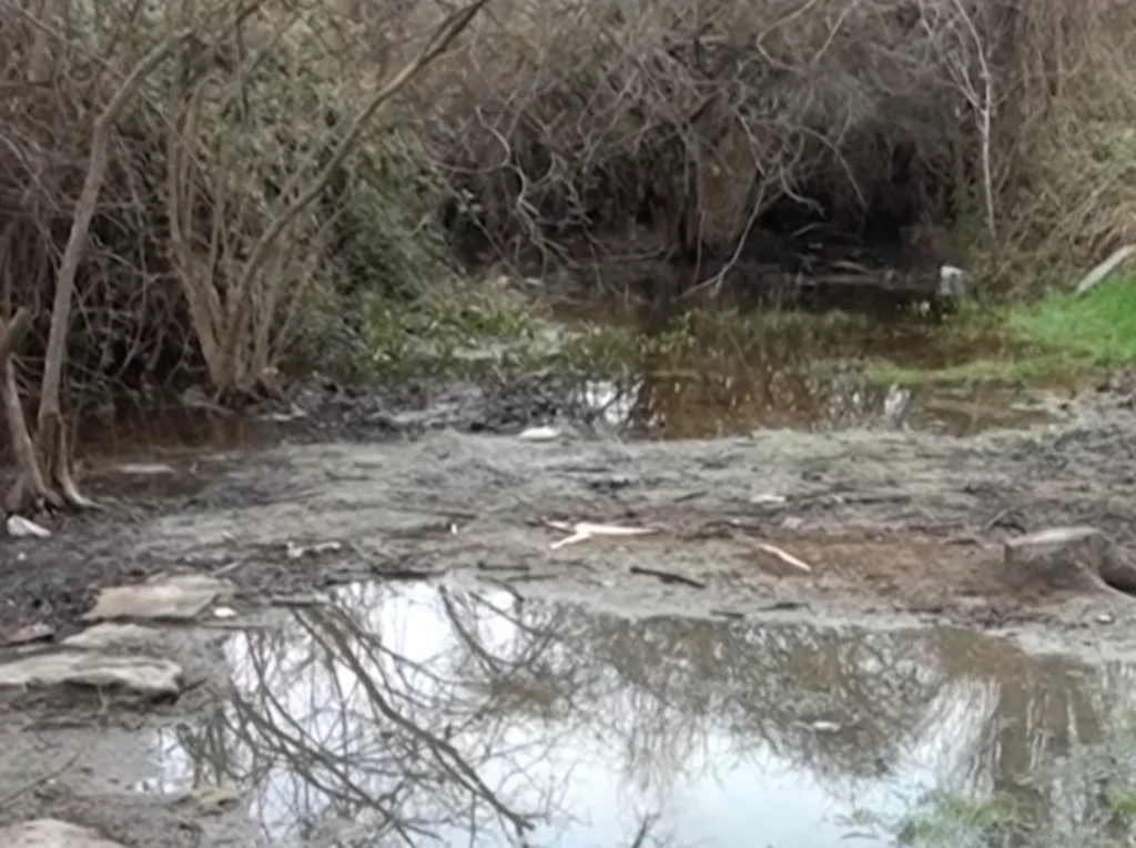 ckyGksGgxzxLivW6DpC5fmxQvTG1AmhGE8dRe9Sh_1200