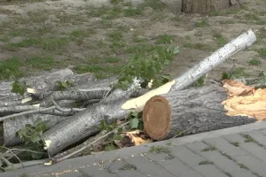 iVAx7t5qYDFA73ZtTdUNkBv0gXsKphF9xNJuooGo_1200