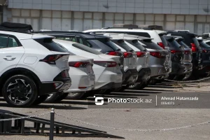 m24W8DpyZHE6D9aHDdZELeoHYv2NHoITRQAdeRtm_1200