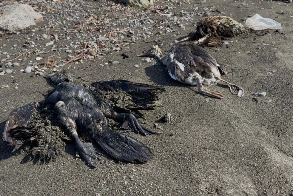 n2yiJy61YKv699VuxHVHE6ZjUhPSufbukad2lbAK_1200