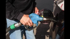 wCwtuTypRt7dJFF8JWNlA1PISnVK7t2Q2OIbpLNH_1200