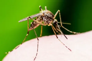 1JkcFG0MlyFAJZwMZGpG2q0T1UPTRqYIyi8r43zv_1200