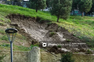 39Q9edt6iJ6A6aNrEB5C4Y8mnVEDdY1HCav6UsJI_1200