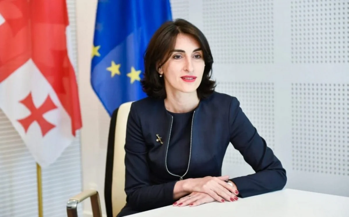 Gürcüstan XİN başçısına yeni vəzifə verildi