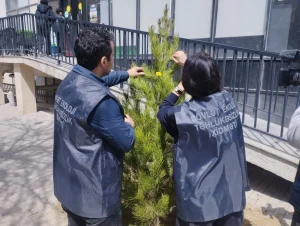 4WtJpw0rrrg8mx82YdrEF0gFgPsApBc6lfZeUmV0_1200