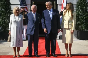 Ep3pTfn7s25LWeOH6aJZ8WL3fTp4NvECuXyNbTJP_1200