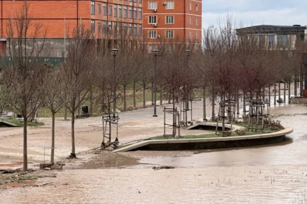 Hb9A54laJdEMQtvDddxe7hFm2K6NVue1cYeMA9US_1200