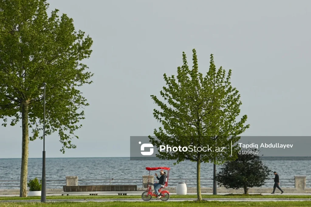 JMYCtvyNSkfvNJQHOuGahZihP4heieFWb0zdXMeG_1200