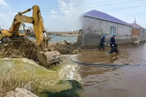 K48RNsozq6PEHi9BAwfOfJwjDY0zDvMkFUmXDiB2_1200