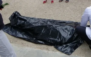 NLDMqi2RRTOzHvFG6LR5zQEjZ6C8SGlU6iRBsjlb_1200