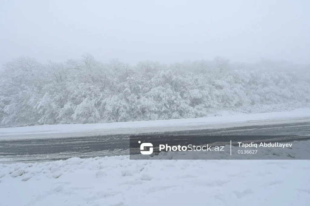 QuB3GNNELqDPwaJ8mFA1mOdSlkJmovBeOQtlLgDP_1200