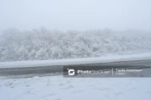 QuB3GNNELqDPwaJ8mFA1mOdSlkJmovBeOQtlLgDP_1200