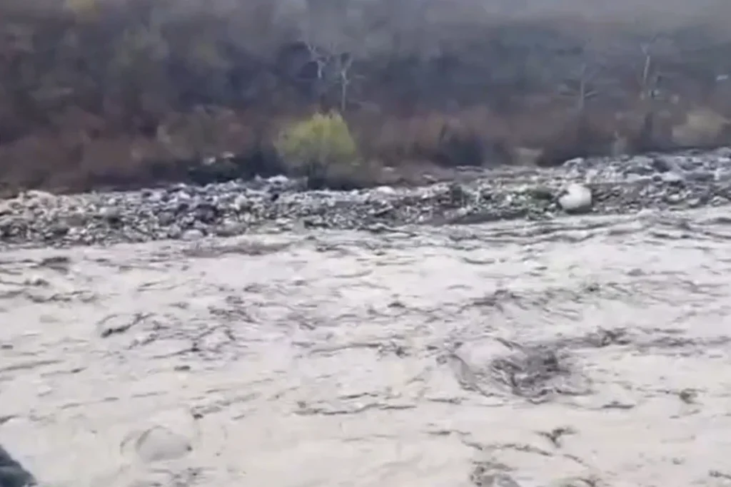 Uiyb0aZubvwhVaP7KY6XBVyVrxlVMRAQxeJLGBdv_1200