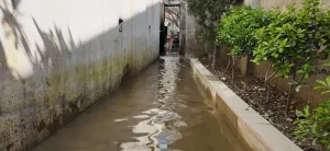 WBKkTc2Kj6pAv1anDnaFmaCtdAzPRJqLKcA6VxKk_1200