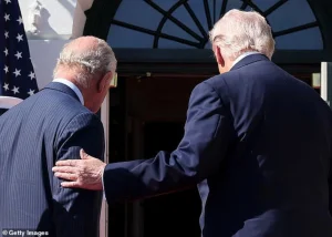 WvI9PrrjevET0mWhAXOjIyHx8Gk8JcecEtqyNaRx_1200