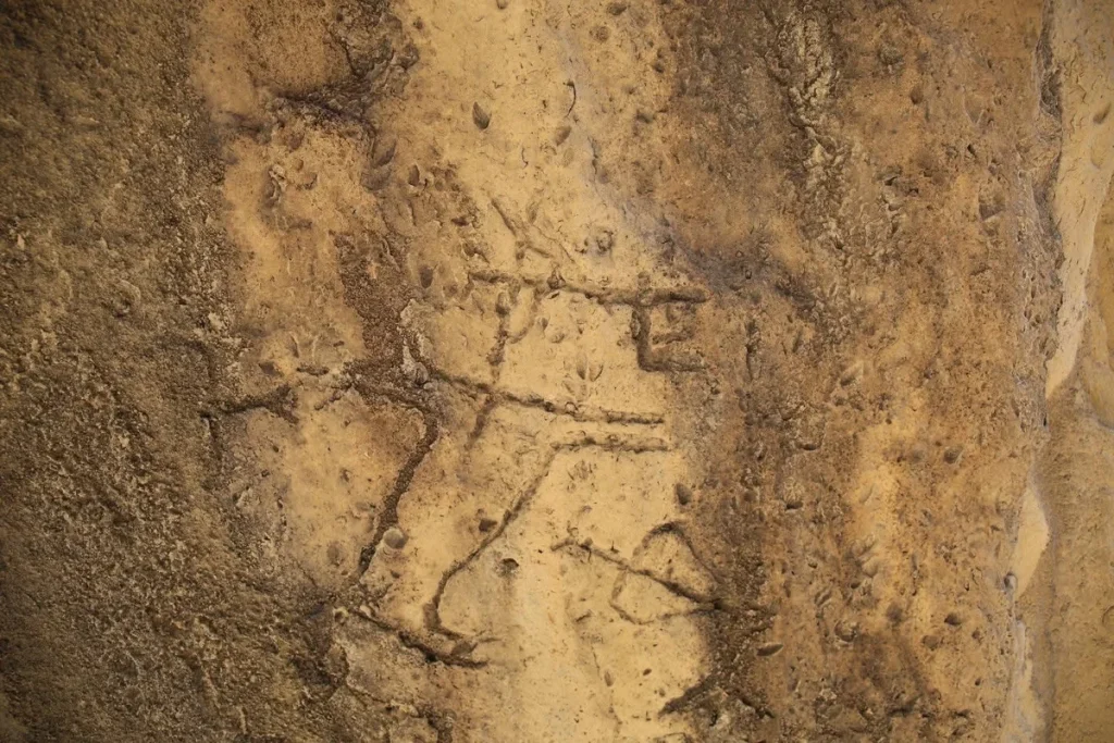 afHAy710VyU23FclM2cEj51JL8KexPRfzzhTomqW_1200