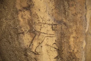 afHAy710VyU23FclM2cEj51JL8KexPRfzzhTomqW_1200