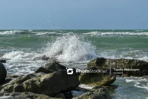 amAljotKeVc4J50gQ1iKnXbc0V7oKkCENwjpgJEa_1200