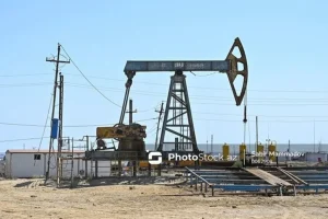 fxtYRDzKhWgDm5XFCKt4L8PPoy9fCROqIViOEb8R_1200