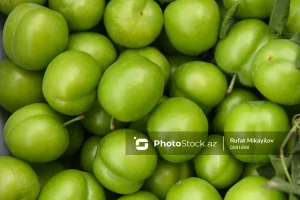 gpMJ6zuk7zXJ1ePq6RPZ2260H1nxs41DM9I0gwEs_1200