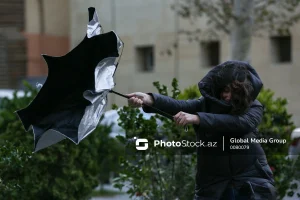 i1AnUWdzTaas3zBfxKqsXUdZNkLeCMaHPMTYDV2y_1200