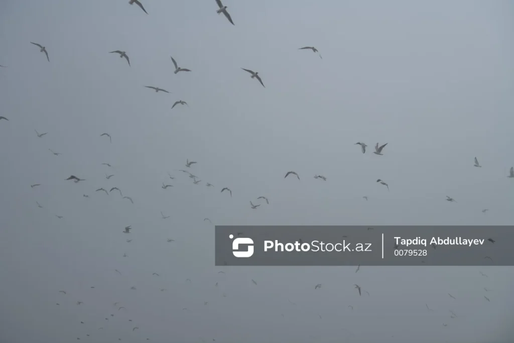 my4oiAQjx05TY2MtmzSTGJrYG2xWaXpqzi6sKQxQ_1200