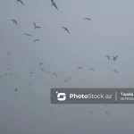 Dumanlı hava şəraiti nə vaxtadək davam edəcək?