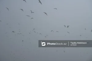 my4oiAQjx05TY2MtmzSTGJrYG2xWaXpqzi6sKQxQ_1200