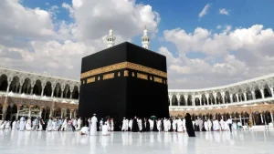 rFXeR4OWRdyDb5VatvolKlwdN4o2z2cH3xgwZTSI_1200