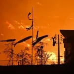 Yaponiyada güclü meşə yanğınları: Əhali evakuasiya olundu