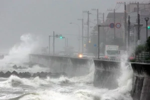 uAgtyUilmx2hF6EtuTAve5rHexRbRHhnjyksVtWT_1200