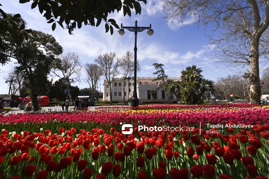 ui66P4vjzqGhGp8U8AmYCjGiQWMtO2VvpsHx48dR_1200