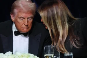 wS4zsC9nAng2s2V5FuUf0rfGQqEQjIqYiEc7JY2H_1200