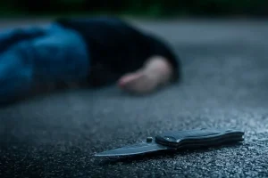 xMz6uoJLvj1AOQS8q0bTcMYdwPcBqYXRpRCVf5PD_1200