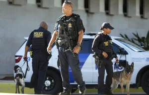 xidD4FJVeygzjAm6uMDeb5OJCJFMFbF15TXh073b_1200