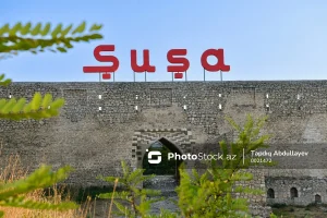 N79oTWzHuLr6FyJuWrZNu4q1AJ4xJbUeoeiuuU0R_1200