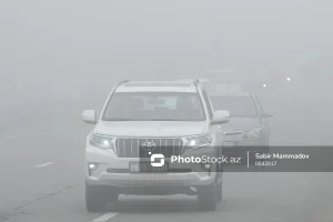 Ry1yPNRzUbjPvuVBOdkwkezkYGl1vLVOkURil1Kw_1200